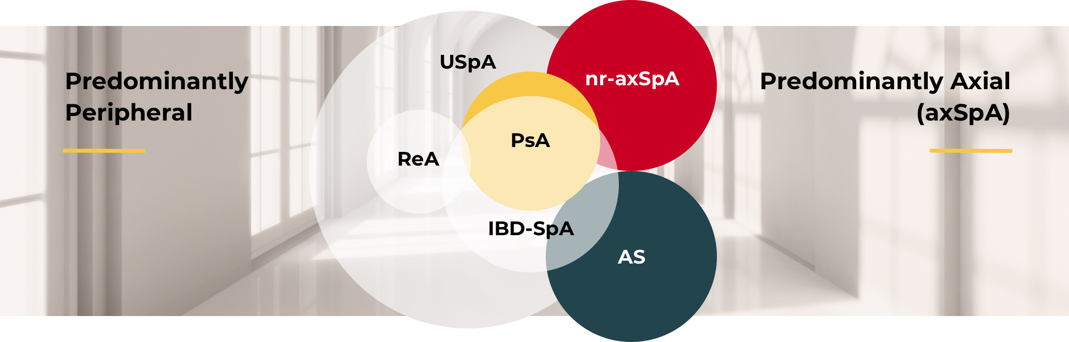 AxSpA Clinical Features RheuMuseum